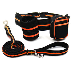 Reflective Pet Traction Set for Enhanced Safety